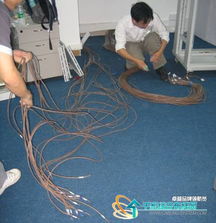 小型IT公司網(wǎng)絡(luò)布線安裝全解 從規(guī)劃到驗(yàn)收的組圖指南